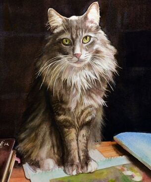 Hand Painted Watercolor Pet Portrait: Achilles, American Tabby, 20 x 16 inches, by Michelle Rodes Artist
