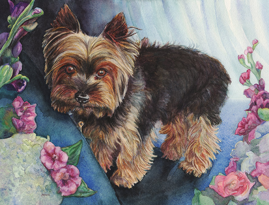 Custom Hand Painted Pet Portrait: Handsome Terrier Dog Breed, Bowzer, 11 x 9 inches, Watercolor, by Michelle Rodes Artist 