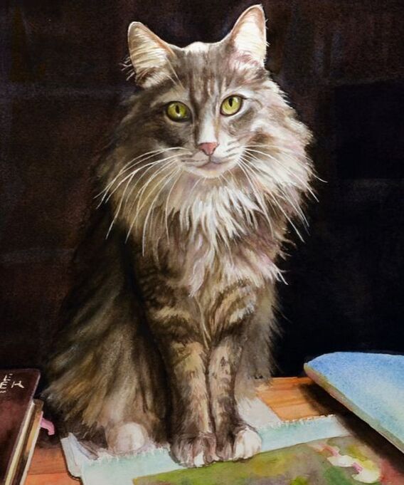 Hand Painted Watercolor Pet Portrait: Achilles, American Tabby, 20 x 16 inches, by Michelle Rodes Artist