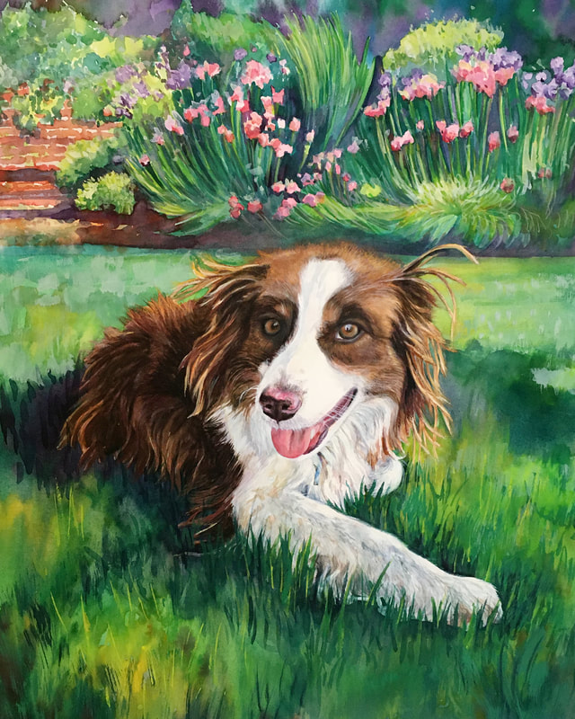 Custom Hand Painted Pet Portrait, Dog, Teddy in the grass,  18 x 24 inches, watercolor, By Michelle Rodes Artist